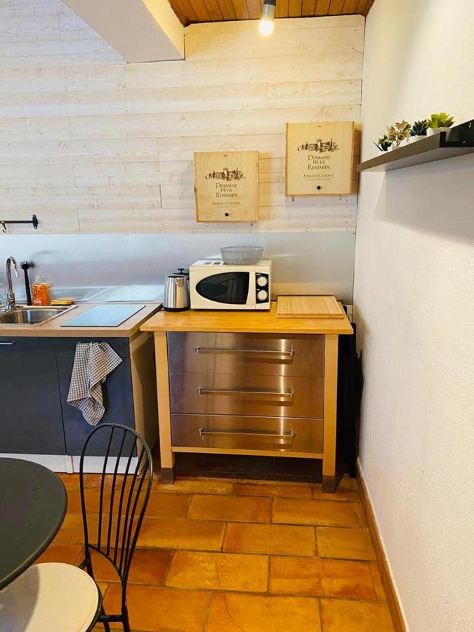 Studio Ile De La Barthelasse A Deux Pas Du Centre Avignon Buitenkant foto
