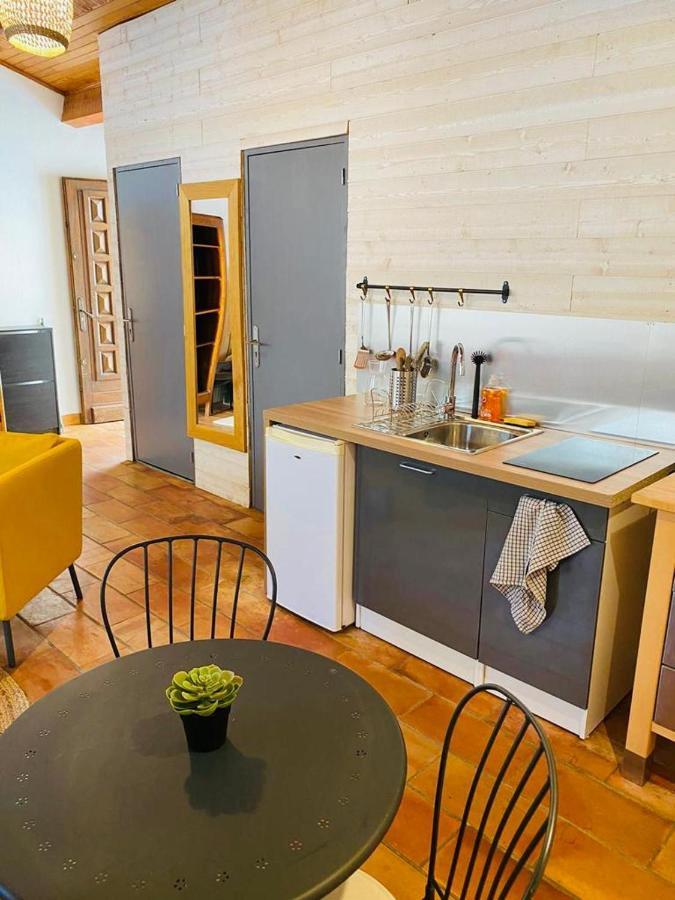 Studio Ile De La Barthelasse A Deux Pas Du Centre Avignon Buitenkant foto